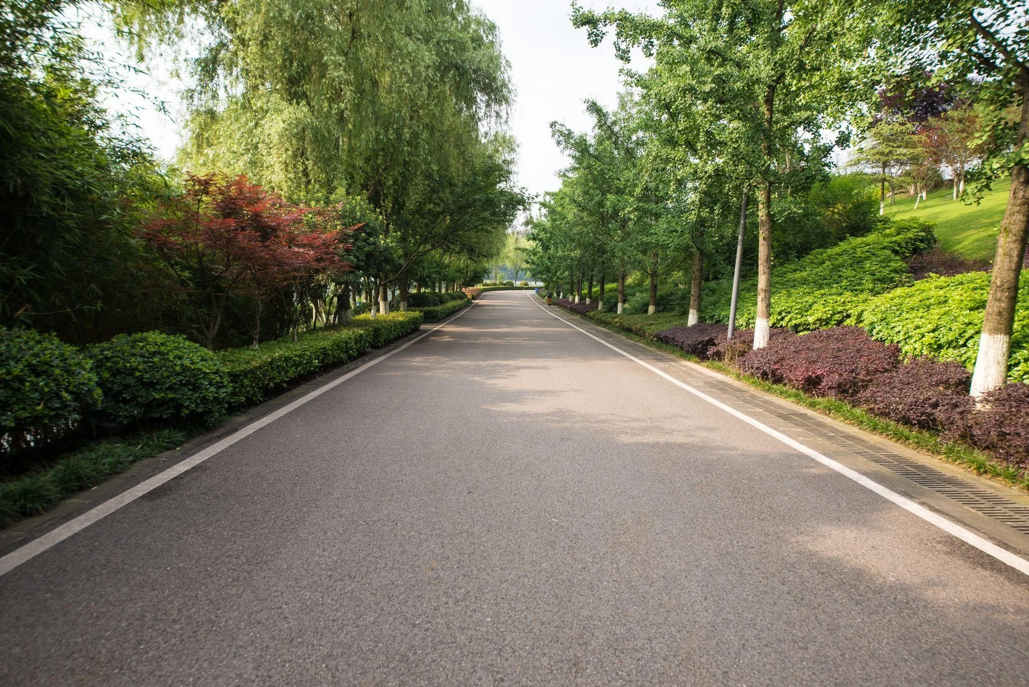 Coloured concrete driveway