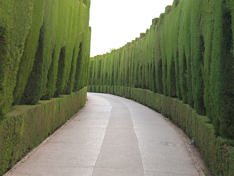 A landscaped garden pathway connecting outdoor spaces